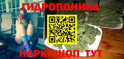 СК Донецк