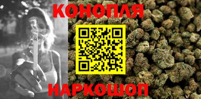 СК Донецк