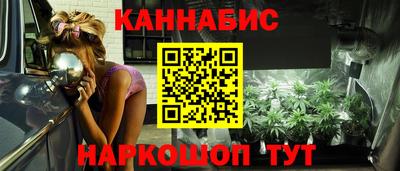индика Дубна