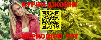 индика Дубна