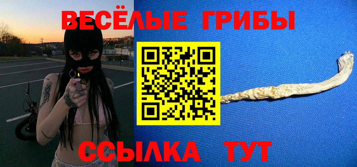 купить  сайты  Вход с VPN  Мирный  Галлюциногенные грибы мицелий 